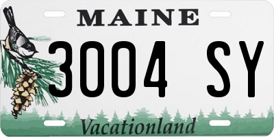 ME license plate 3004SY