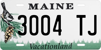 ME license plate 3004TJ
