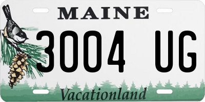 ME license plate 3004UG