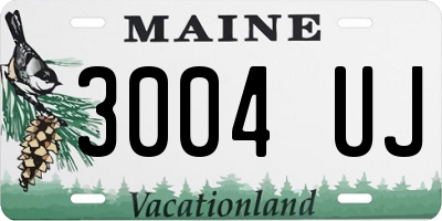 ME license plate 3004UJ