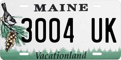 ME license plate 3004UK