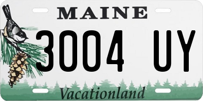 ME license plate 3004UY