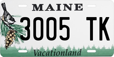 ME license plate 3005TK