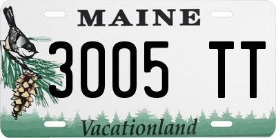 ME license plate 3005TT