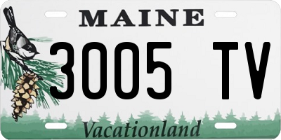 ME license plate 3005TV