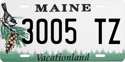 ME license plate 3005TZ