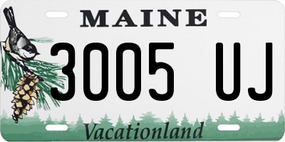 ME license plate 3005UJ