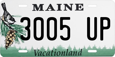 ME license plate 3005UP