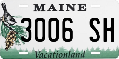 ME license plate 3006SH