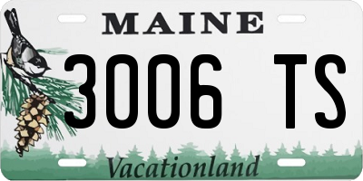 ME license plate 3006TS