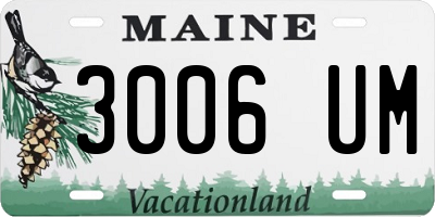 ME license plate 3006UM