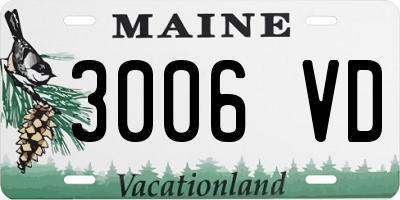 ME license plate 3006VD