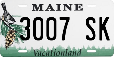 ME license plate 3007SK