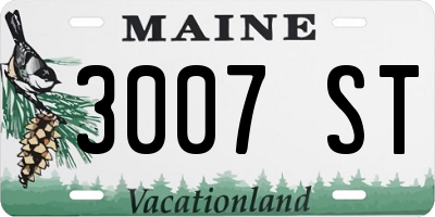 ME license plate 3007ST
