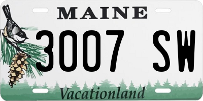 ME license plate 3007SW
