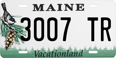 ME license plate 3007TR