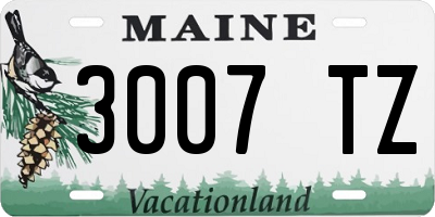 ME license plate 3007TZ