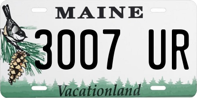 ME license plate 3007UR