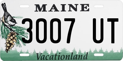 ME license plate 3007UT