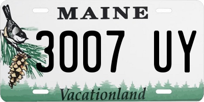 ME license plate 3007UY