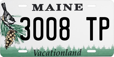 ME license plate 3008TP