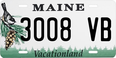 ME license plate 3008VB