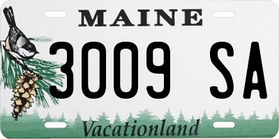 ME license plate 3009SA