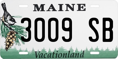 ME license plate 3009SB