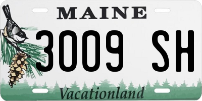 ME license plate 3009SH