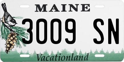 ME license plate 3009SN