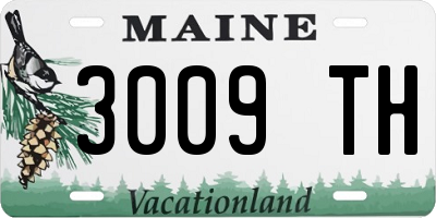 ME license plate 3009TH