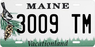 ME license plate 3009TM
