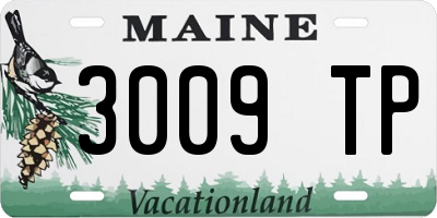 ME license plate 3009TP