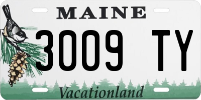 ME license plate 3009TY