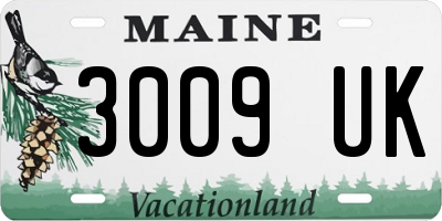 ME license plate 3009UK