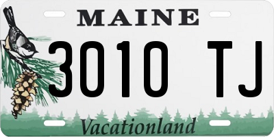 ME license plate 3010TJ