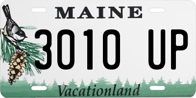 ME license plate 3010UP