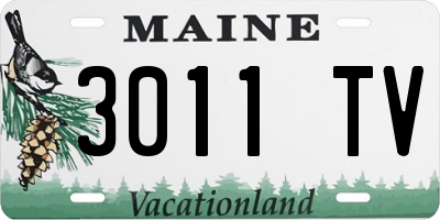 ME license plate 3011TV