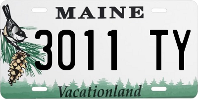 ME license plate 3011TY