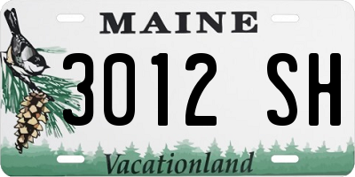 ME license plate 3012SH