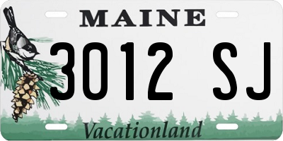 ME license plate 3012SJ