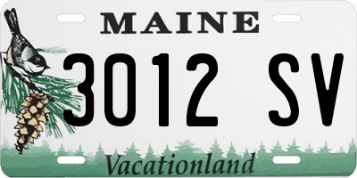 ME license plate 3012SV