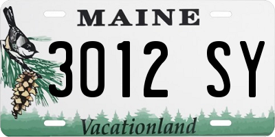 ME license plate 3012SY