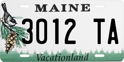 ME license plate 3012TA