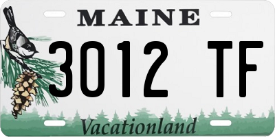ME license plate 3012TF