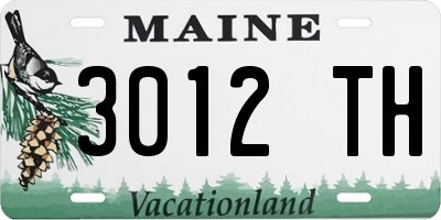ME license plate 3012TH