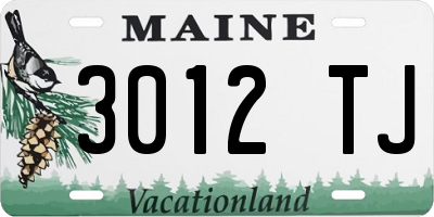 ME license plate 3012TJ