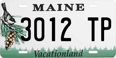ME license plate 3012TP