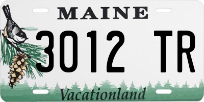 ME license plate 3012TR