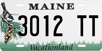 ME license plate 3012TT